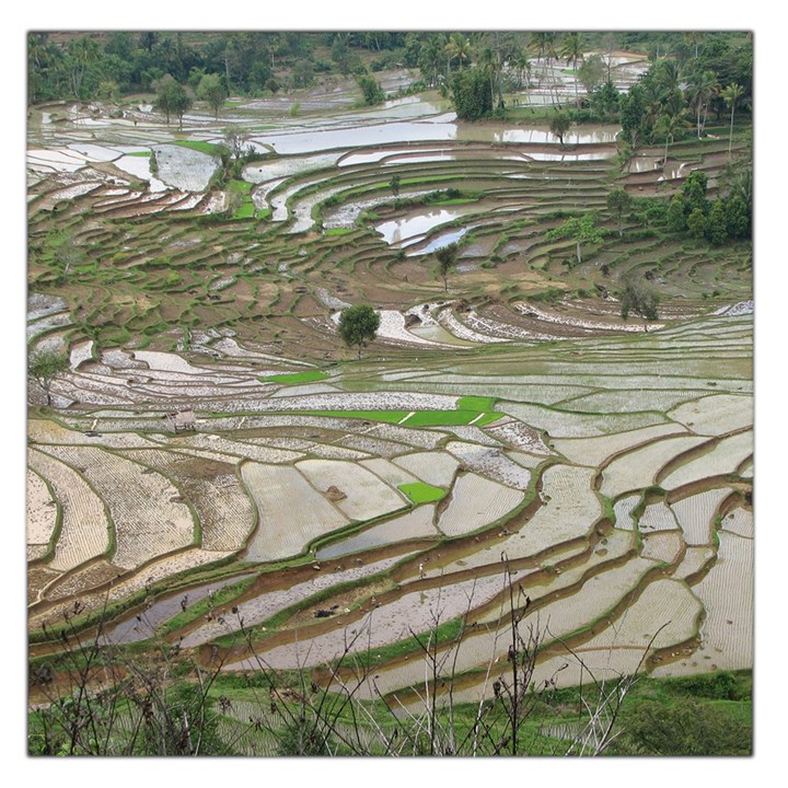 Rice Fields Terraced Terrace Large Satin Scarf (Square)