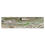 Rice Fields Terraced Terrace Satin Scarf (Oblong) Front