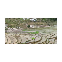 Rice Fields Terraced Terrace Yoga Headband by Nexatart