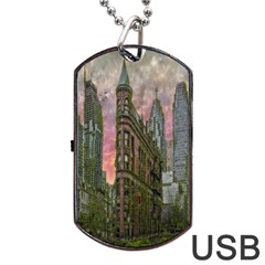 Flat Iron Building Toronto Ontario Dog Tag Usb Flash (two Sides) by Nexatart