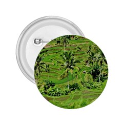 Greenery Paddy Fields Rice Crops 2 25  Buttons by Nexatart