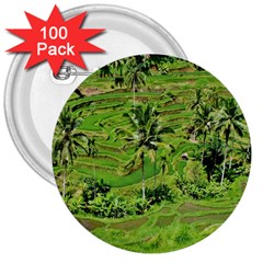 Greenery Paddy Fields Rice Crops 3  Buttons (100 Pack)  by Nexatart