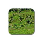 Greenery Paddy Fields Rice Crops Rubber Square Coaster (4 pack)  Front