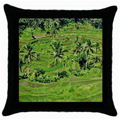 Greenery Paddy Fields Rice Crops Throw Pillow Case (black) by Nexatart