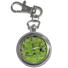 Greenery Paddy Fields Rice Crops Key Chain Watches by Nexatart