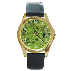 Greenery Paddy Fields Rice Crops Round Gold Metal Watch by Nexatart