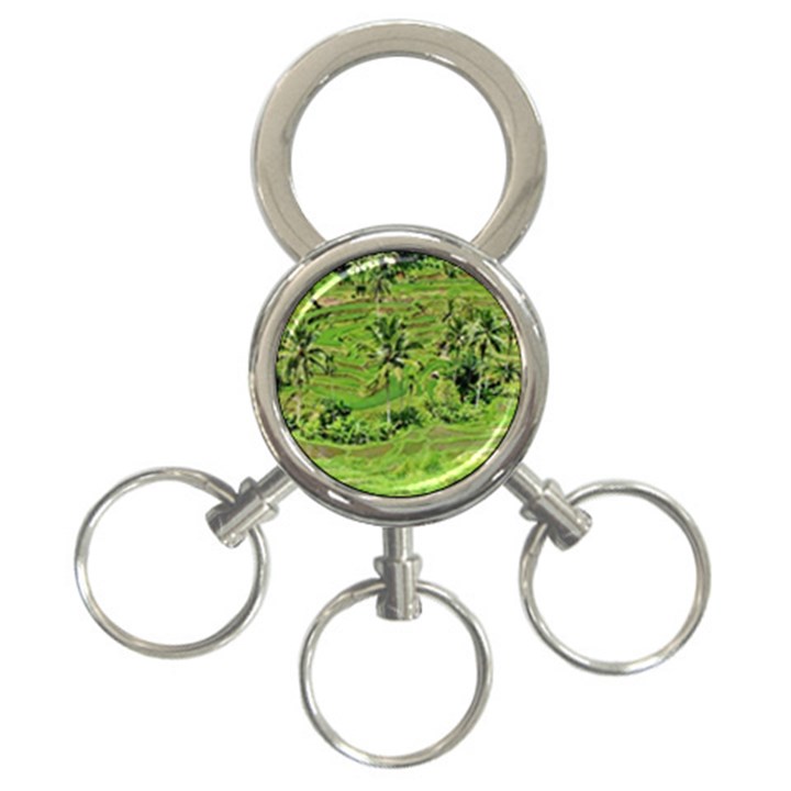 Greenery Paddy Fields Rice Crops 3-Ring Key Chains