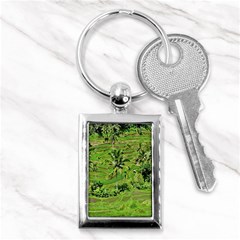 Greenery Paddy Fields Rice Crops Key Chains (rectangle)  by Nexatart