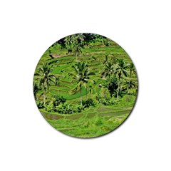 Greenery Paddy Fields Rice Crops Rubber Coaster (round)  by Nexatart