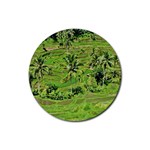 Greenery Paddy Fields Rice Crops Rubber Round Coaster (4 pack)  Front