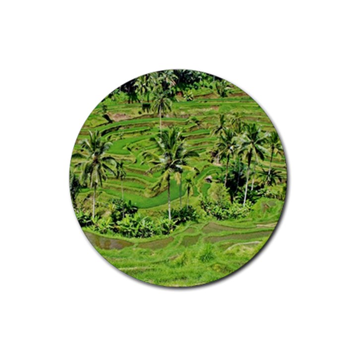 Greenery Paddy Fields Rice Crops Rubber Round Coaster (4 pack) 