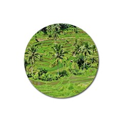 Greenery Paddy Fields Rice Crops Magnet 3  (round) by Nexatart