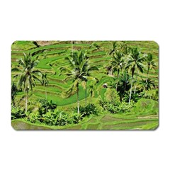 Greenery Paddy Fields Rice Crops Magnet (rectangular) by Nexatart