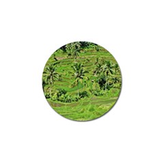 Greenery Paddy Fields Rice Crops Golf Ball Marker by Nexatart