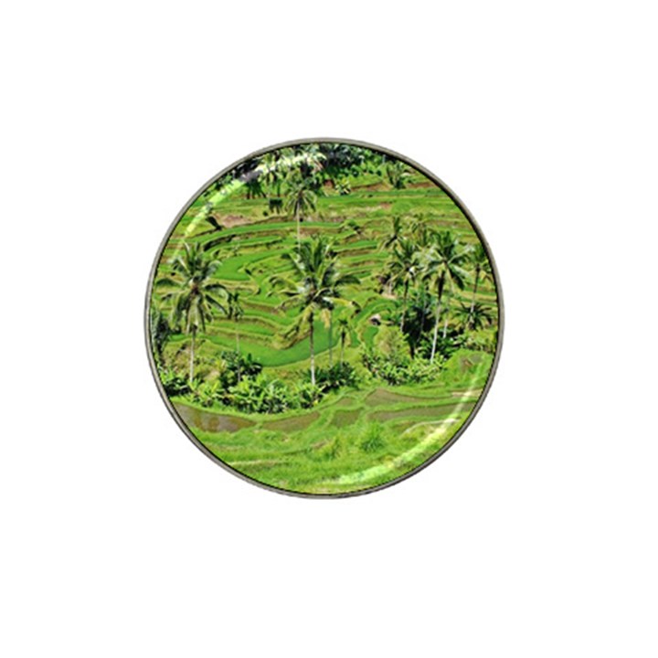 Greenery Paddy Fields Rice Crops Hat Clip Ball Marker