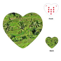 Greenery Paddy Fields Rice Crops Playing Cards (heart) 