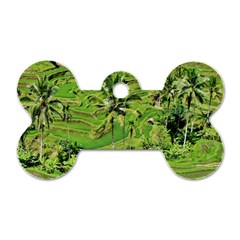 Greenery Paddy Fields Rice Crops Dog Tag Bone (two Sides) by Nexatart