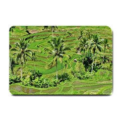 Greenery Paddy Fields Rice Crops Small Doormat  by Nexatart