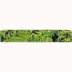 Greenery Paddy Fields Rice Crops Small Bar Mats by Nexatart