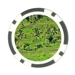 Greenery Paddy Fields Rice Crops Poker Chip Card Guard by Nexatart