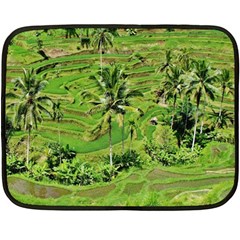 Greenery Paddy Fields Rice Crops Fleece Blanket (mini) by Nexatart