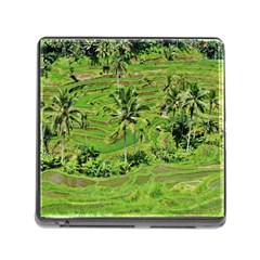 Greenery Paddy Fields Rice Crops Memory Card Reader (square) by Nexatart