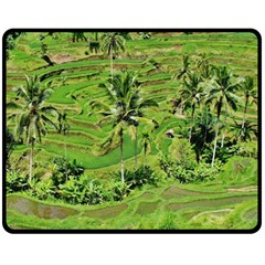 Greenery Paddy Fields Rice Crops Fleece Blanket (medium)  by Nexatart