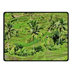 Greenery Paddy Fields Rice Crops Fleece Blanket (Small) 50 x40  Blanket Front