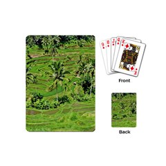 Greenery Paddy Fields Rice Crops Playing Cards (mini)  by Nexatart