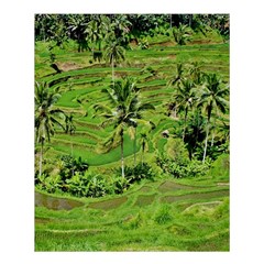 Greenery Paddy Fields Rice Crops Shower Curtain 60  X 72  (medium)  by Nexatart