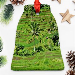 Greenery Paddy Fields Rice Crops Bell Ornament (two Sides) by Nexatart