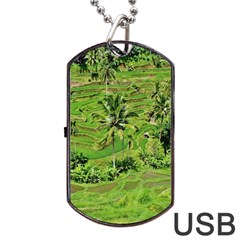 Greenery Paddy Fields Rice Crops Dog Tag Usb Flash (two Sides) by Nexatart