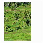 Greenery Paddy Fields Rice Crops Large Garden Flag (Two Sides) Front