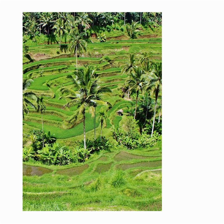 Greenery Paddy Fields Rice Crops Large Garden Flag (Two Sides)