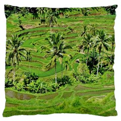 Greenery Paddy Fields Rice Crops Large Cushion Case (two Sides) by Nexatart