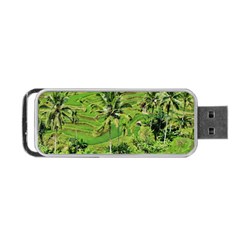 Greenery Paddy Fields Rice Crops Portable Usb Flash (one Side) by Nexatart