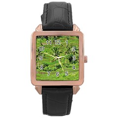 Greenery Paddy Fields Rice Crops Rose Gold Leather Watch  by Nexatart