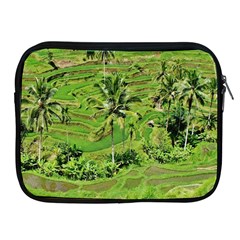 Greenery Paddy Fields Rice Crops Apple Ipad 2/3/4 Zipper Cases by Nexatart