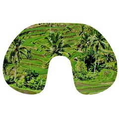 Greenery Paddy Fields Rice Crops Travel Neck Pillows by Nexatart