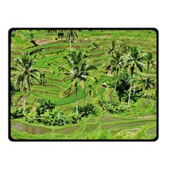 Greenery Paddy Fields Rice Crops Double Sided Fleece Blanket (small)  by Nexatart