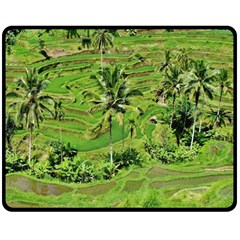 Greenery Paddy Fields Rice Crops Double Sided Fleece Blanket (medium)  by Nexatart