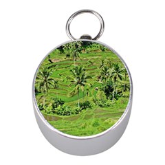 Greenery Paddy Fields Rice Crops Mini Silver Compasses by Nexatart