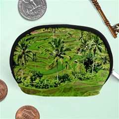 Greenery Paddy Fields Rice Crops Accessory Pouches (medium)  by Nexatart