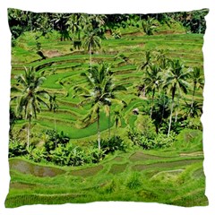 Greenery Paddy Fields Rice Crops Standard Flano Cushion Case (one Side) by Nexatart