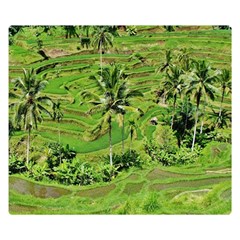 Greenery Paddy Fields Rice Crops Double Sided Flano Blanket (small)  by Nexatart