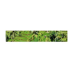 Greenery Paddy Fields Rice Crops Flano Scarf (mini) by Nexatart