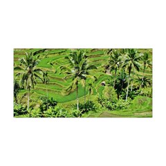 Greenery Paddy Fields Rice Crops Yoga Headband by Nexatart