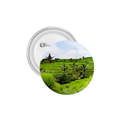 Bali Rice Terraces Landscape Rice 1 75  Buttons by Nexatart