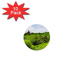 Bali Rice Terraces Landscape Rice 1  Mini Buttons (10 Pack)  by Nexatart