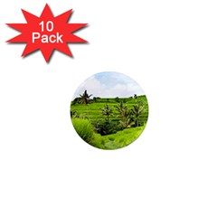 Bali Rice Terraces Landscape Rice 1  Mini Magnet (10 Pack)  by Nexatart